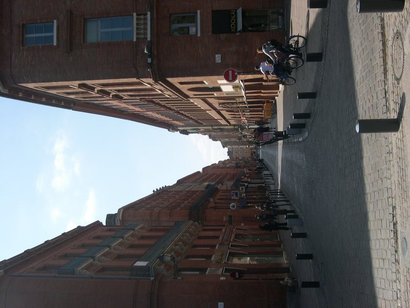 080407toulouse4212.JPG