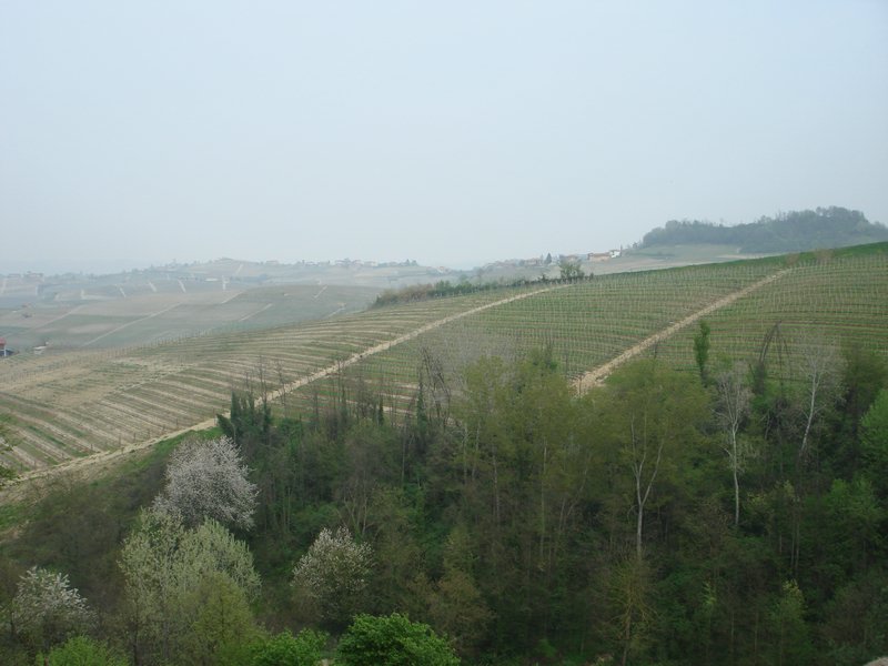 110407langhe (11).JPG