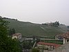 110407langhe4238.JPG